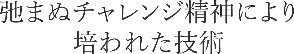 弛まぬチャレンジ精神により培われた技術